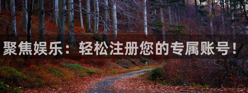 杏宇官方网站下载