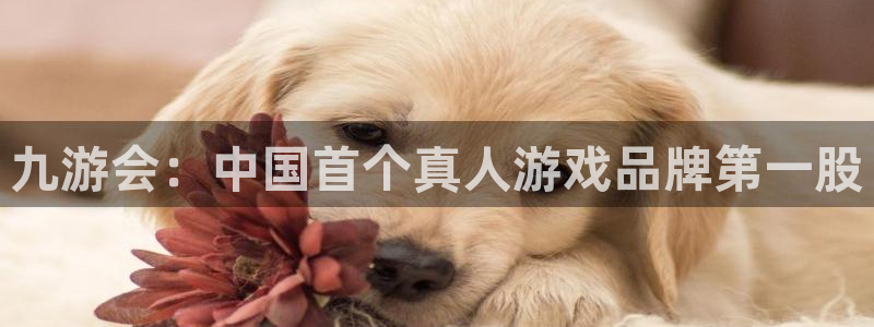 杏宇app网页入口