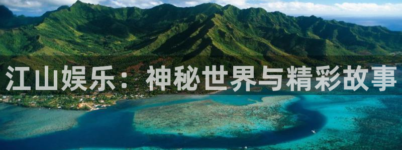 杏宇app入口