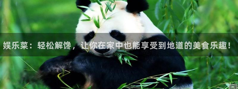 杏宇app网页入口