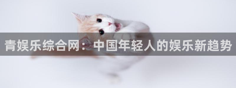 杏宇app下载官网