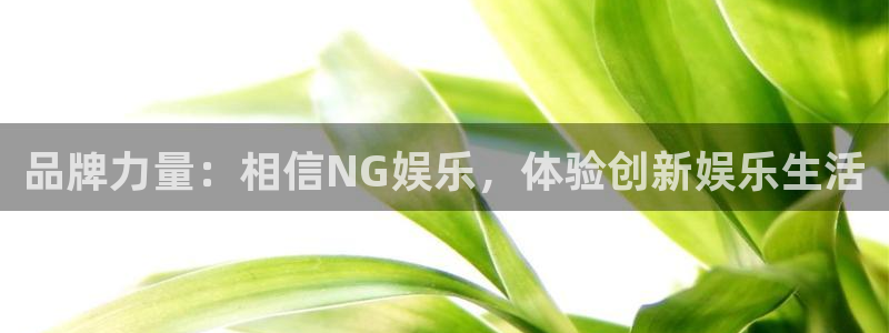 壹号电子娱乐app下载安装最新版本