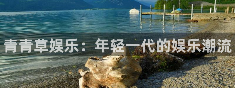 杏宇,apk.1