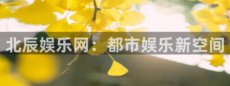 壹号大舞台娱乐app下载安装