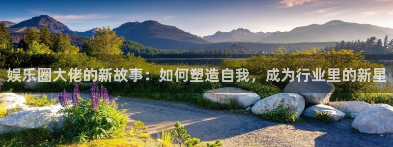 壹号平台下载安装官网