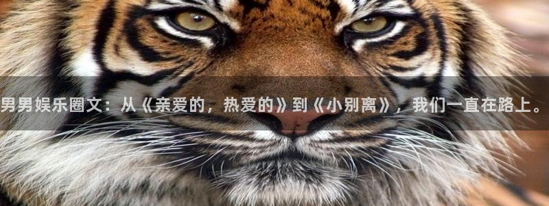 杏宇,apk.