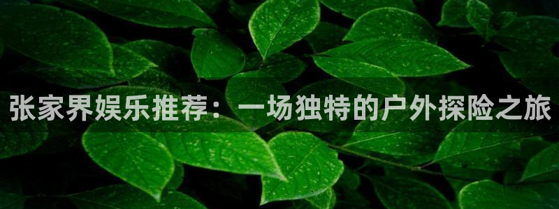 下载杏宇app