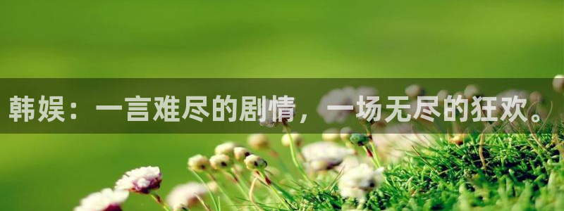 壹号下载安装