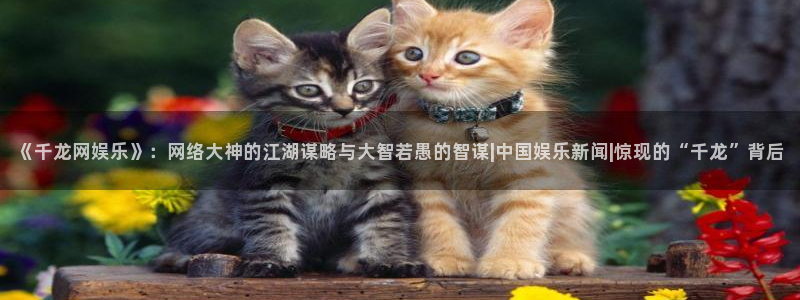壹号app下载苹果