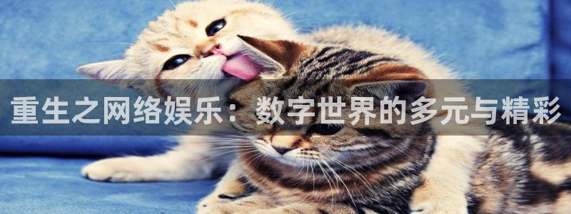 壹号注册入口app下载