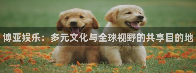 杏宇app下载官网