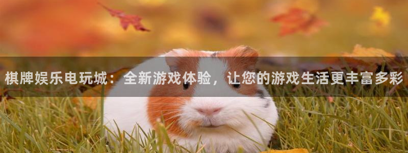 杏宇app下载