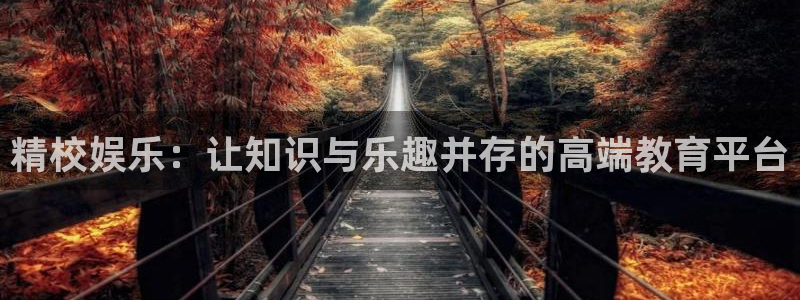 壹号平台下载安装