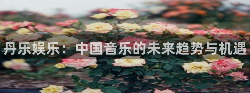 壹号平台app下载安装
