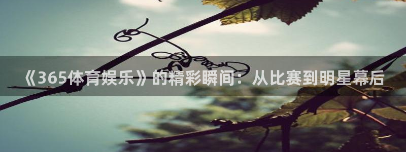 杏宇官网入口：《365体育娱乐》的精彩瞬间：从比赛到明星幕后