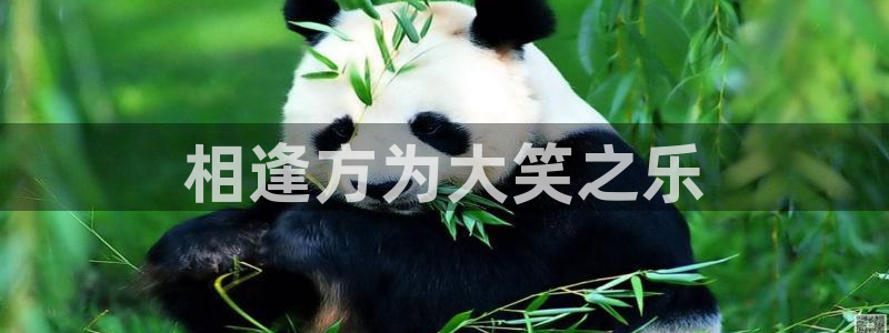 杏宇平台app下载安装
