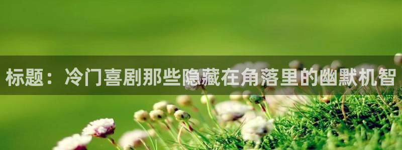 壹号大舞台官网：标题：冷门喜剧那些隐藏在角落里的幽默机智