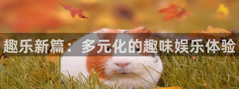 杏宇 - ng大舞台,有梦你就来：趣乐新篇：多元化的趣味娱乐体验