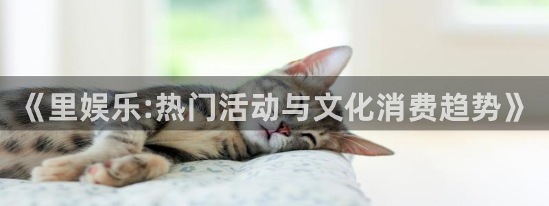 杏宇官方app下载安装：《里娱乐:热门活动与文化消费趋势》