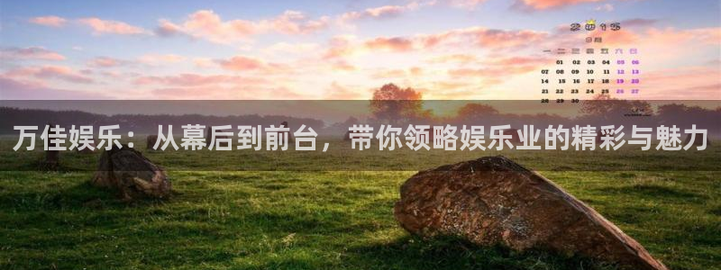 壹号大舞台怎么注册：万佳娱乐：从幕后到前台，带你领略娱乐业的精彩与魅力