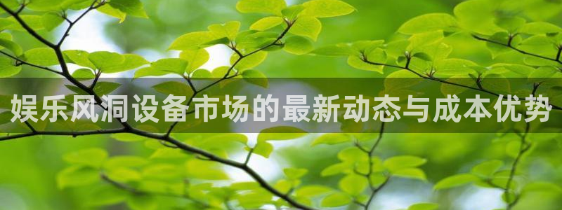 壹号大舞台：娱乐风洞设备市场的最新动态与成本优势